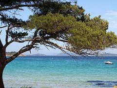 183 ILE DE PORQUEROLLES -4_000020